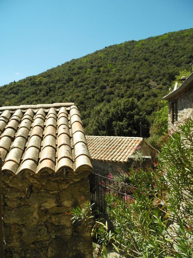 Mas Des Nabieres Bed & Breakfast Saint-Martial  Exterior photo